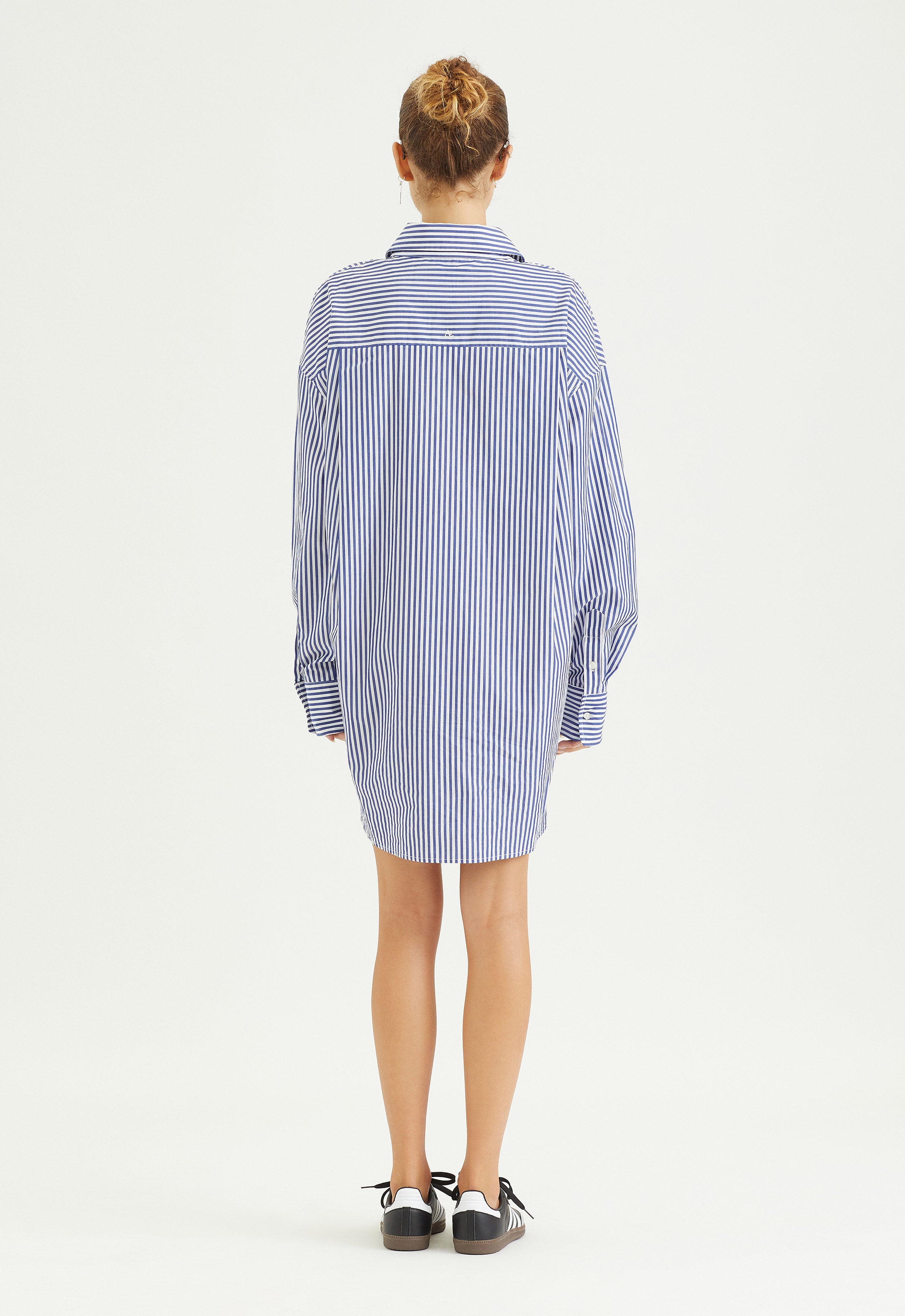 BlueStripe